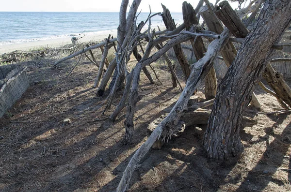 Refuge of a castaway — Stock Photo, Image