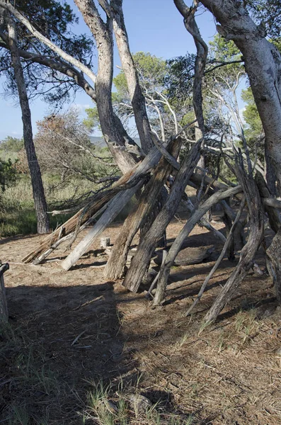 Doğaçlama bir kazazede sığınağıdır