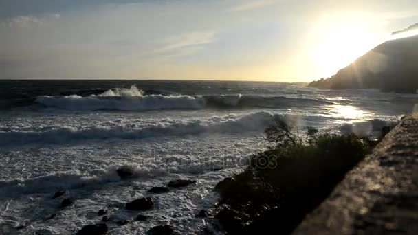 Onde sulla costa italiana — Video Stock