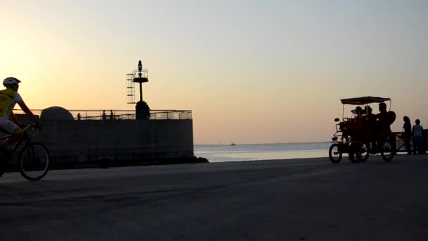 Pedaleando en el puerto al atardecer — Vídeo de stock