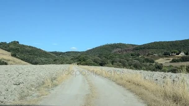 Cyclist going slow on a country road — ストック動画