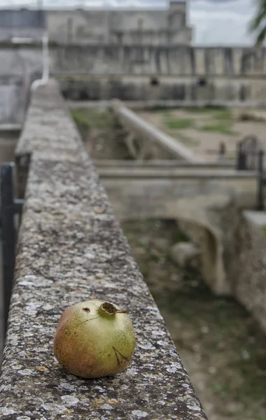 Granátové jablko na stěnách Acaya — Stock fotografie