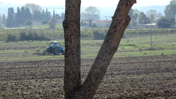 Tractor preparing the ground for sowing — Stock Video