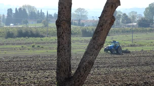 Tractor preparando el suelo para la siembra — Vídeos de Stock