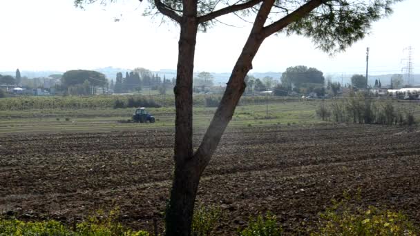 Tractor preparing the ground for sowing — Stock Video