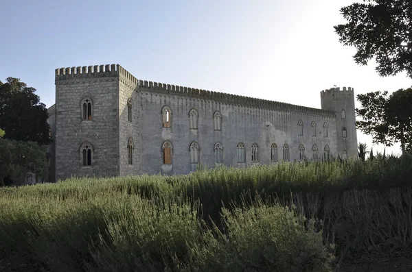 La lavanda del castello di Donnafugata — Foto Stock