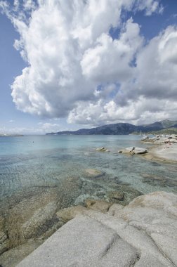 Sardunya turkuaz deniz