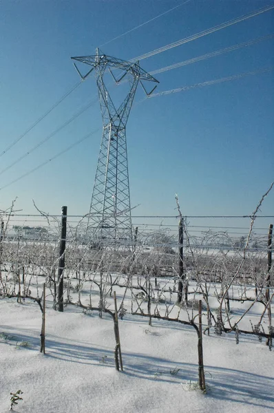 Campo congelado después de una nevada — Foto de Stock