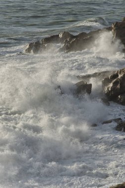 Livorno sahilde dalgalar