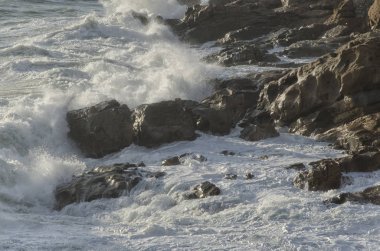 İtalyan Deniz kenarı kaba deniz