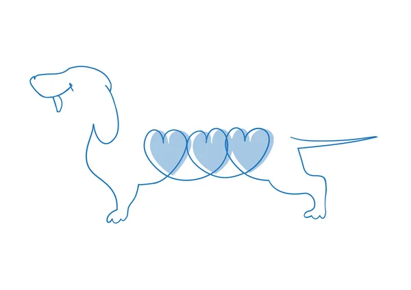 Cão com coração. Ilustração vetorial de Dachshund . — Vetor de Stock