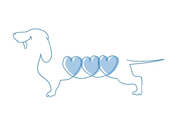 Köpek bir kalp ile. Dachshund vektör çizim.