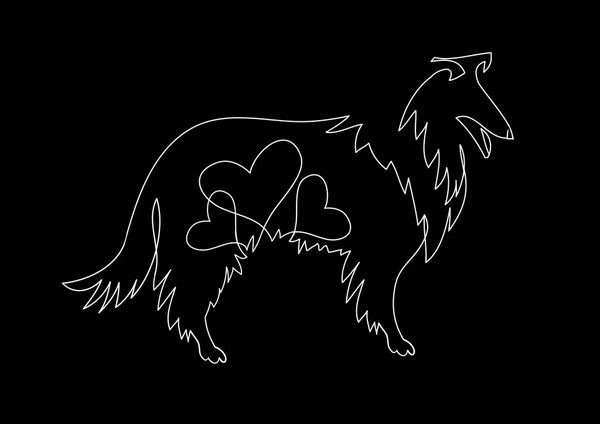 Hond-vector. Collie vectorillustratie uit de vrije hand getrokken. — Stockvector