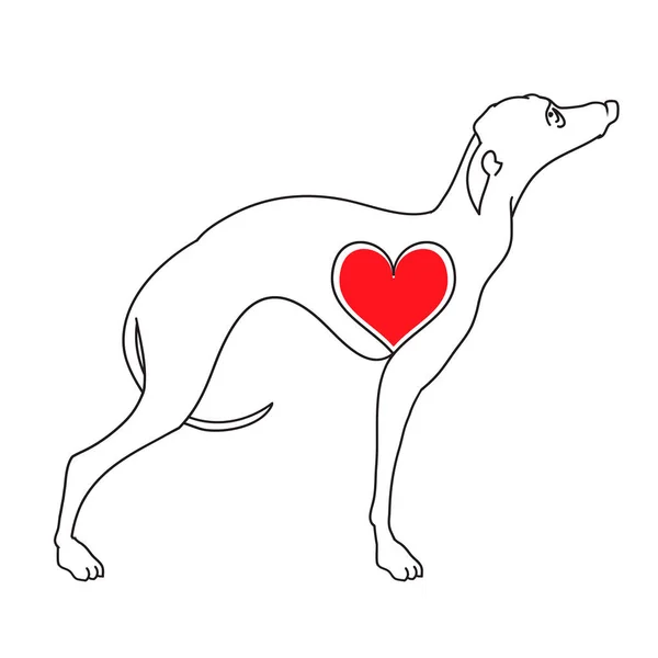 Windhund. Vektor-Illustrationen von Hand gezeichnet. Original lineares Bild eines Hundes mit Herzen. — Stockvektor