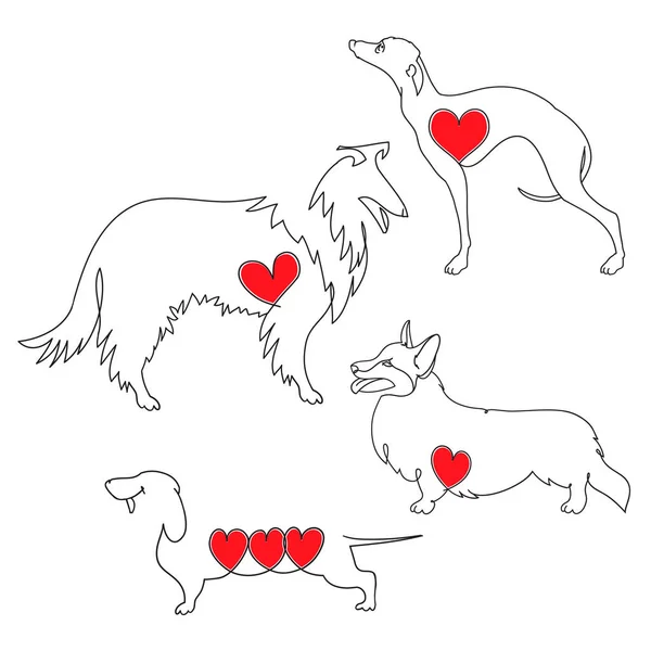 Conjunto de cuatro razas diferentes de perros. Corgi, Dachshund, Collie y Greyhound. Ilustración lineal vectorial dibujada a mano para camiseta, bolso, taza, tarjeta de felicitación . — Archivo Imágenes Vectoriales