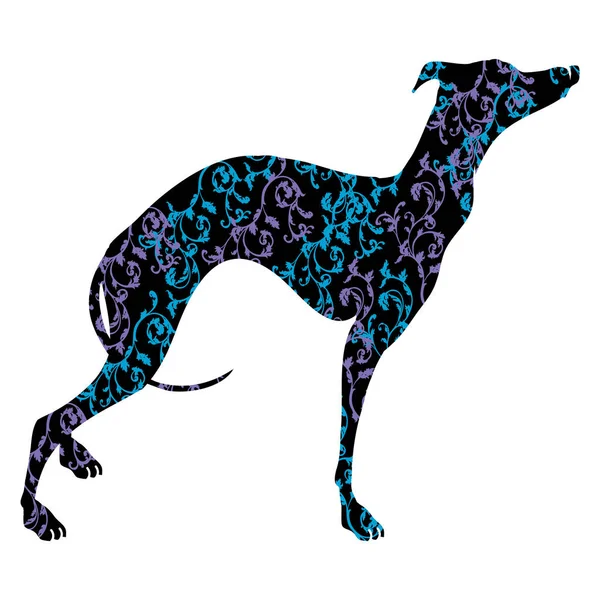 Galgo perro raza vector ilustración. Silueta elegante de un perro galgo con un adorno . — Archivo Imágenes Vectoriales