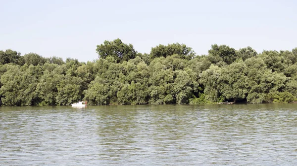 Donau med fiskebåt och trädgränsen i bakgrunden — Stockfoto