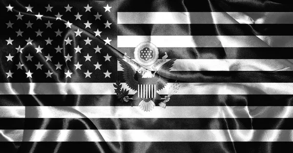 Etats-Unis d'Amérique Drapeau avec Armoiries Aigle Illustration 3D — Photo