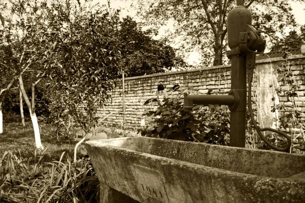 Старый рустик у колодца в саду — стоковое фото