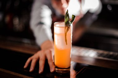 Kayısı ve adaçayı ekşi. Seçici odak