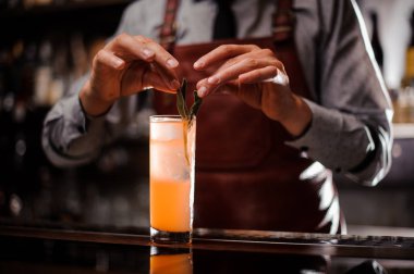 Kayısı ve adaçayı ekşi kadar kapatın. Seçici odak.