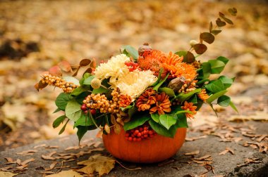 Güzel kabak bir sonbahar çiçek kompozisyon ile