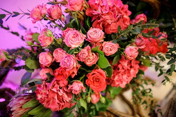 빛 바탕에 화려한 핑크 꽃 조성 — 스톡 사진