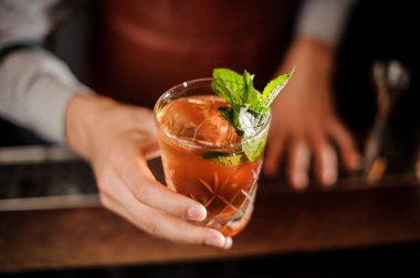 Barmen bir kadeh alkollü içki ve nane ile düzenliyor