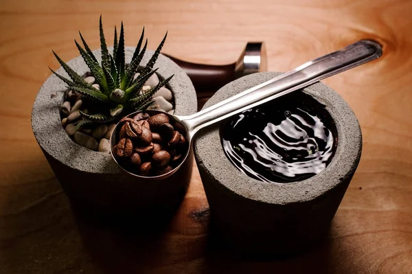コーヒーを飲むと植物の鉢植え — ストック写真
