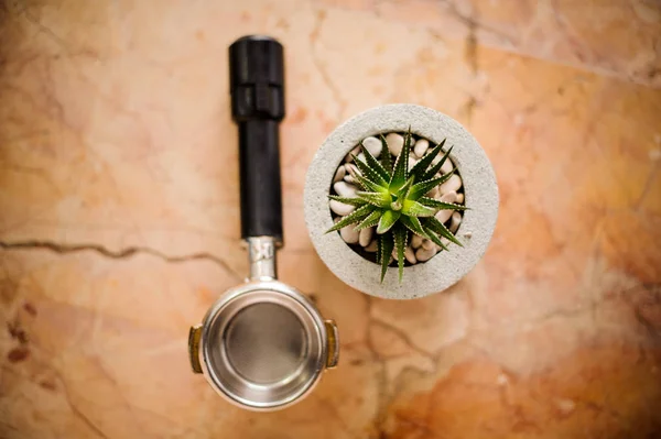 咖啡师的脾气和绿色的植物在混凝土罐顶视图 — 图库照片