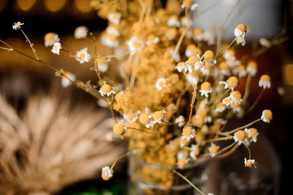 Цветочная композиция крошечных и милых сушеных цветов — стоковое фото