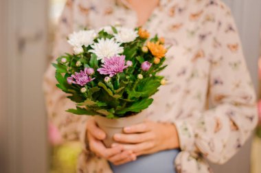 Küçük şirin ve güzel çiçek kompozisyon potu