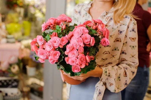 Mujer con hermosa camisa sosteniendo una olla con flores rosadas —  Fotos de Stock
