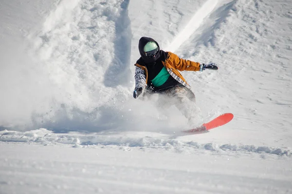 粉の雪の丘を下ってスノーボードに乗ってカラフルなスポーツウェアの若いスノーボーダー — ストック写真