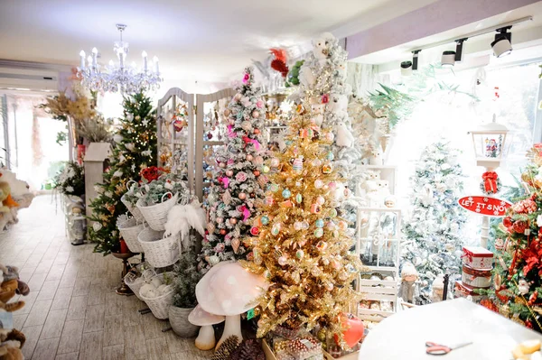 Winkel met kerst bomen, speelgoed, garland en andere inrichting — Stockfoto