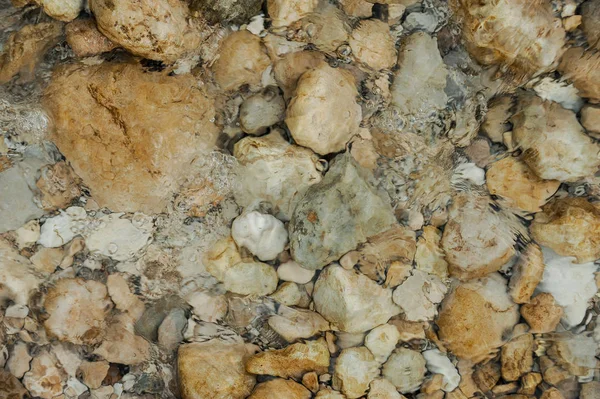 Pebbles molhados do mar sob a água. Diferentes formas e cores — Fotografia de Stock