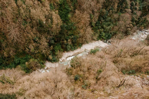 조지아의 아름 다운 흐르는 숲 강의 평면도 — 스톡 사진