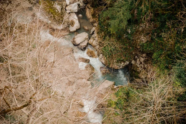 조지아에서 아름 다운 흐르는 숲 강의 평면도. 마틴 빌리 캐년. 오카 세 협곡 — 스톡 사진