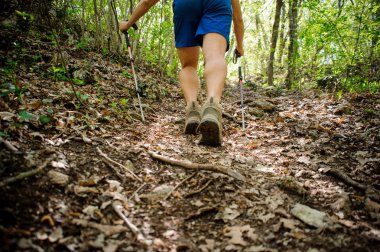 Nordic walking için özel ekipman kullanarak ormandaki kadar etkin atlet tırmanıyor