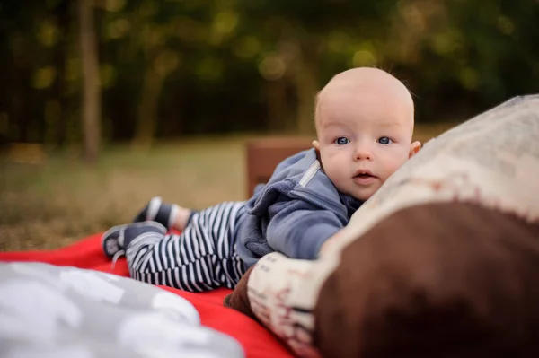 Lindo niñito acostado en una manta en el parque — Foto de Stock