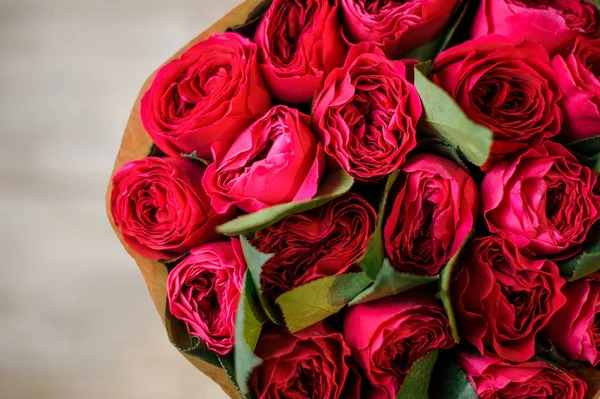 Top view foto mawar merah cantik — Stok Foto
