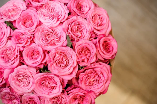 Foto vista dall'alto di splendide rose rosa brillante — Foto Stock
