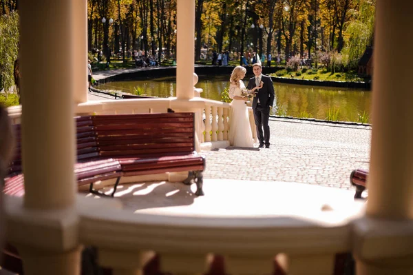 Noiva com noivo andando no belo parque — Fotografia de Stock
