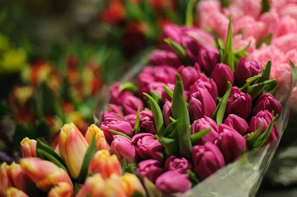 Velké kytice z fialové, žluté a růžové tulipány — Stock fotografie