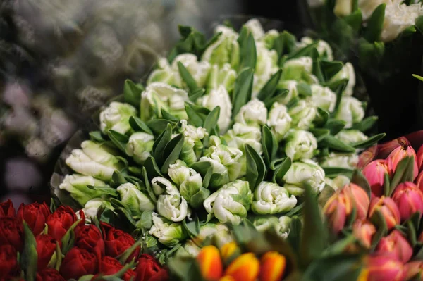 Pohled shora na velkou kytici bílých tulipánů — Stock fotografie