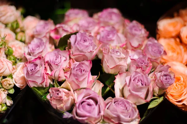 Közelről fotó pályázat rózsaszín rózsa — Stock Fotó