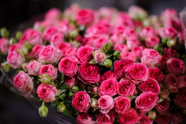 Indah karangan bunga terdiri dari mawar merah muda kecil cerah — Stok Foto