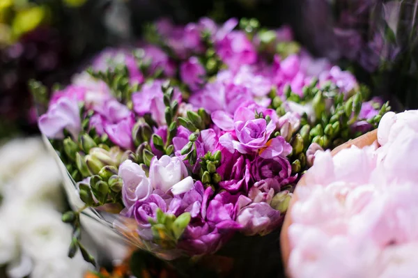 Makrofotografie z nabídky jarní fialové květiny v květinářství — Stock fotografie