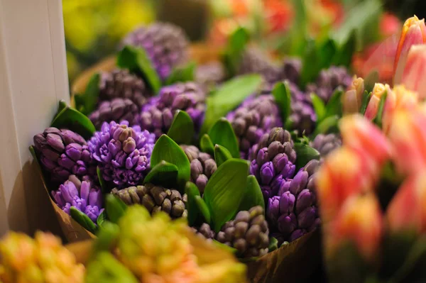 Krásná kytice fialový zdobený zelenými listy — Stock fotografie