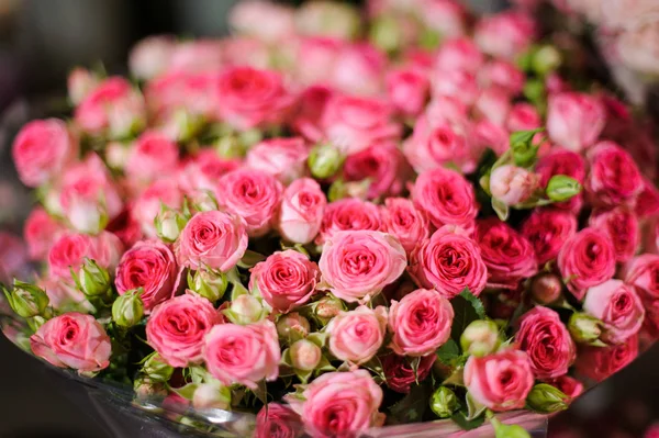 Beau bouquet de petites roses roses — Photo